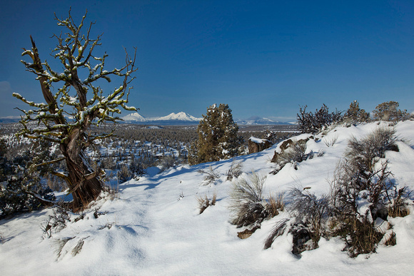 Winter scene at Crooked River Ranch