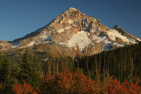 Mt Hood and fall color _Lolo Pass