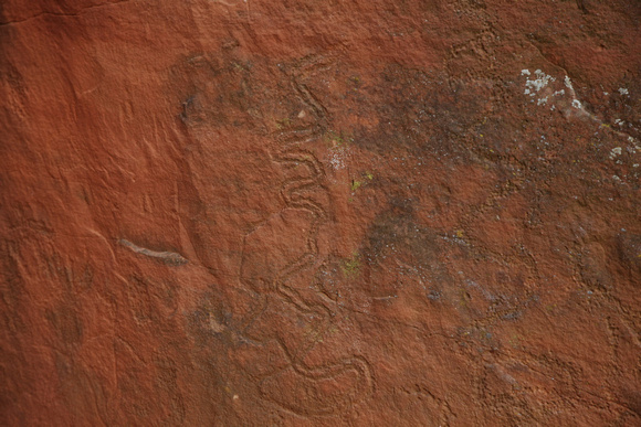 V-Bar-V Ranch Heritage Site petroglyphs