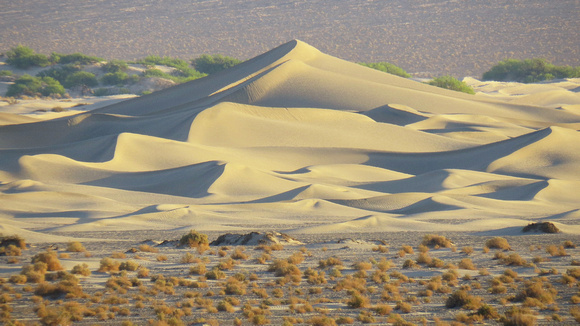 Devils cornfield and Mesquite Flat Sand Dunes