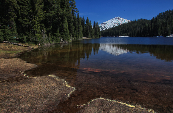 Todd Lake with pollen collecting on it's shores