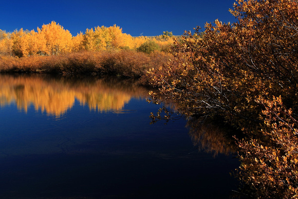 Fish Lake