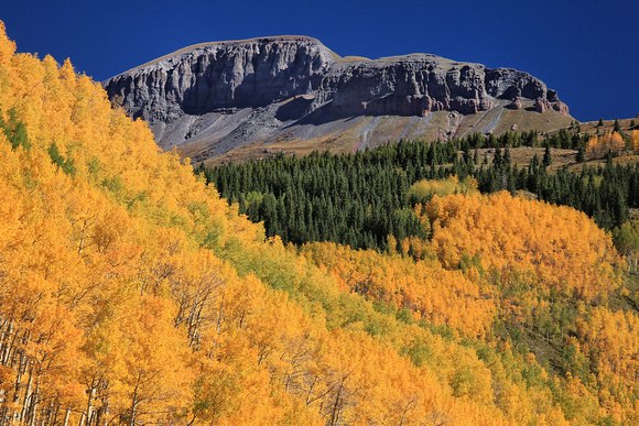 Fall color in the San Juan Mountains