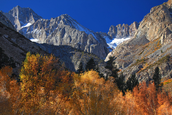 Fall color splendor near Glacier Lodge.