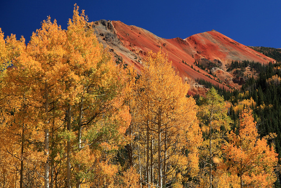 Fall color in the San Juan Mountains