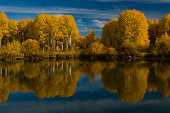 Fall colors along the shore of Deschutes River
